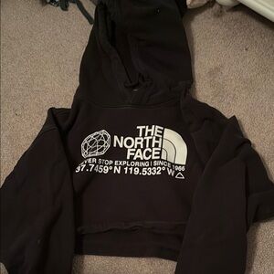 The North Face Black Cropped Hoodie